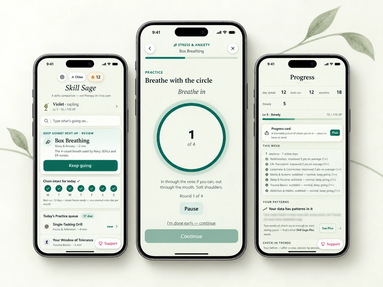 Planned Skill Sage daily practice, paced breathing, and progress screens